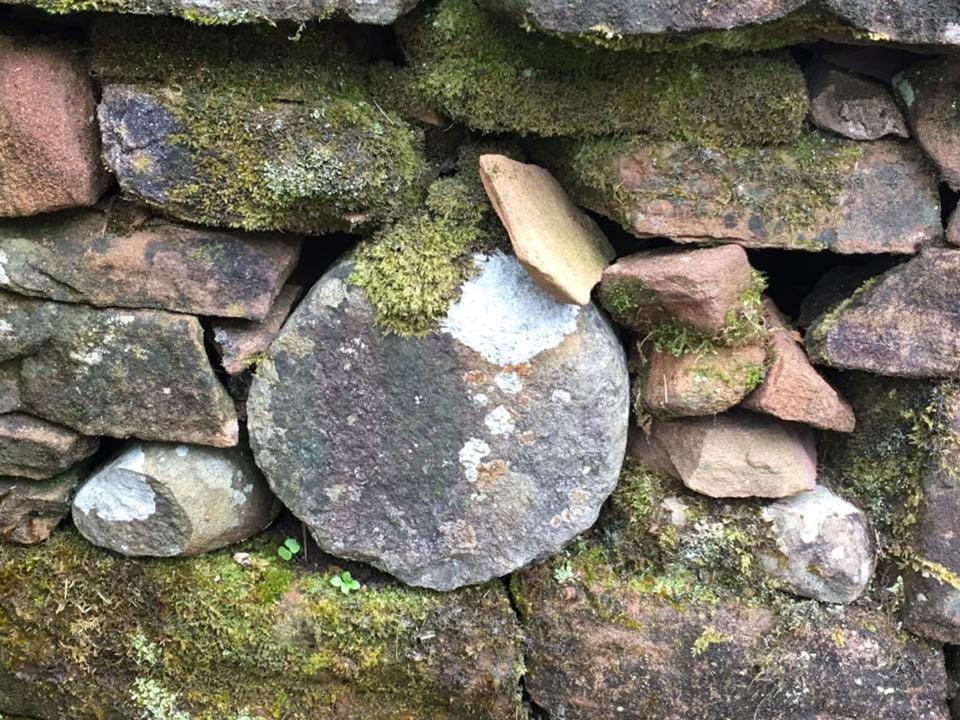 Boggle Dyke Cottage Thornhill  Bagian luar foto